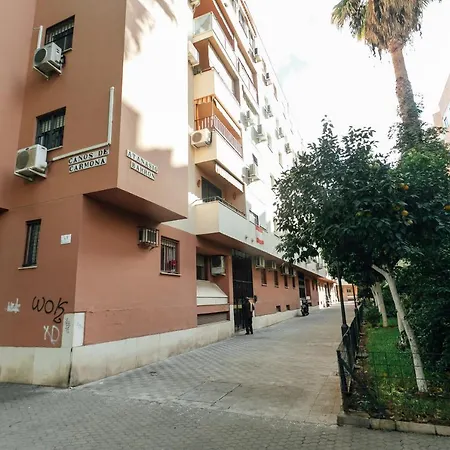 Alohamundi Florida Seville